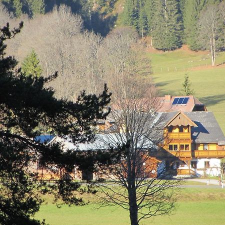 Apartmán Obergrabnerhof Ramsau am Dachstein Exteriér fotografie